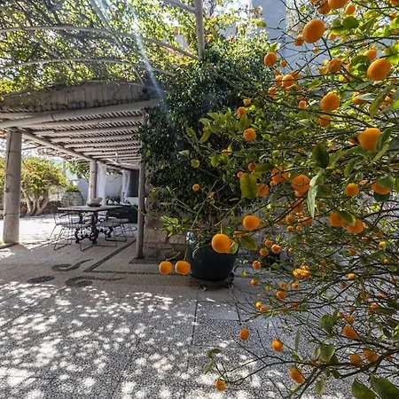Vila Tuerkbuekue Rustik Bakimli Tas Ev Bodrum